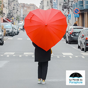 Le Monde du Parapluie