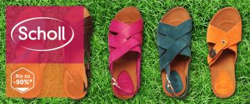 Scholl