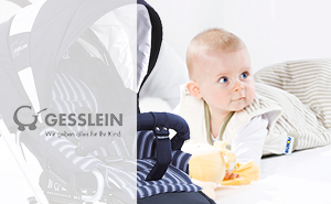 Gesslein