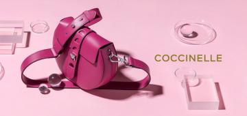 Coccinelle
