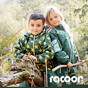 Racoon