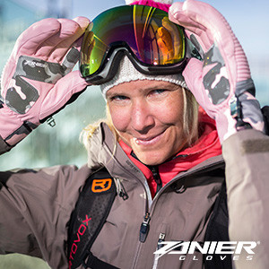 Zanier