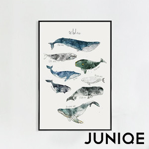 Juniqe