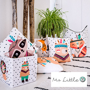 Mr Little Fox