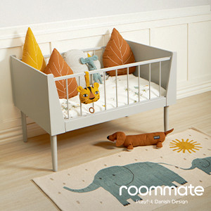 Roommate