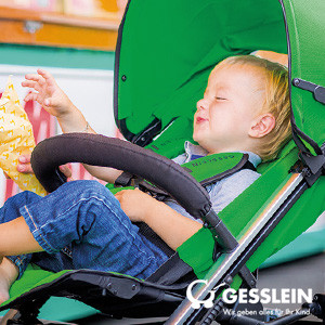Gesslein