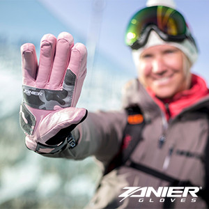 Zanier