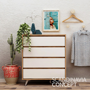 Scandinavia Concept