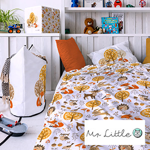 Mr Little Fox