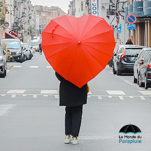 Le Monde du Parapluie