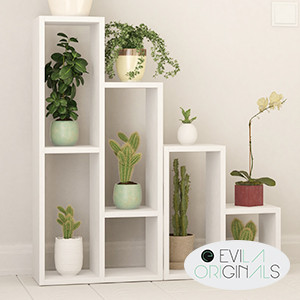 Evila Originals