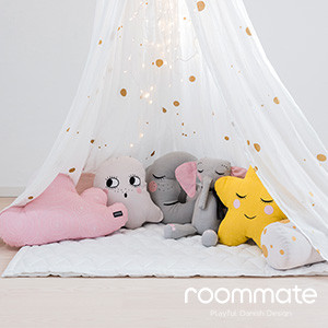 Roommate