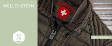 Wellensteyn