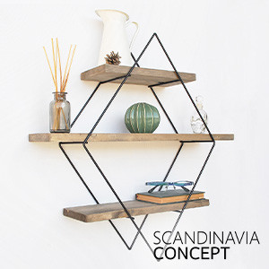 Scandinavia Concept