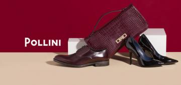 Pollini