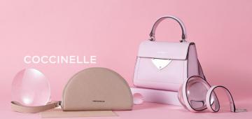 Coccinelle