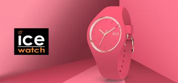 ICE Watch