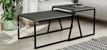 Scandinavia Concept