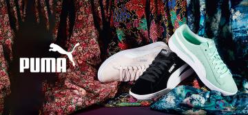 Puma