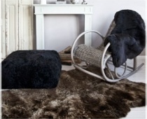 The Organic Sheep