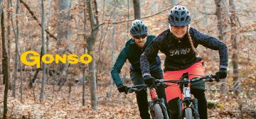 Gonso