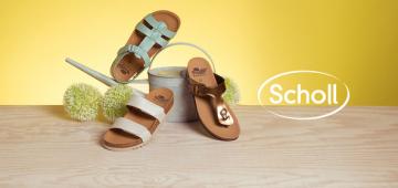 Scholl
