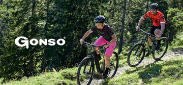 Gonso