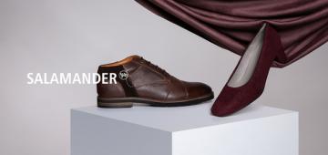 Salamander
