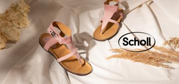 Scholl