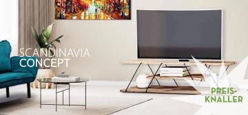 Scandinavia Concept