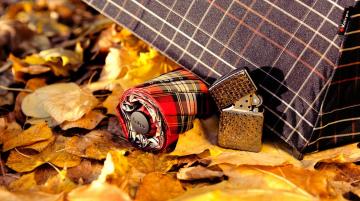 Zippo
