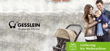Gesslein