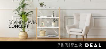 Scandinavia Concept