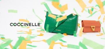 Coccinelle