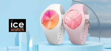 ICE Watch