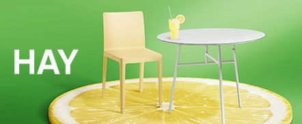 Hay