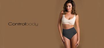 Controlbody