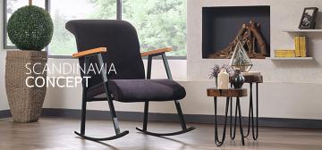 Scandinavia Concept