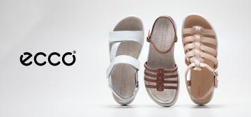 Ecco