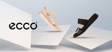 Ecco