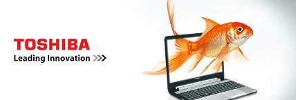 Toshiba