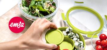 Emsa