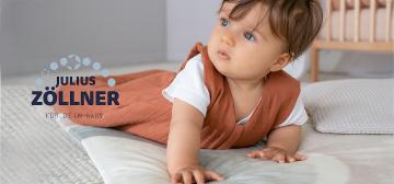 Julius Zöllner
