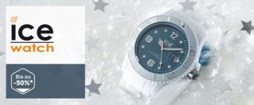 Ice-watch