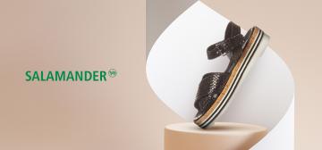 Salamander