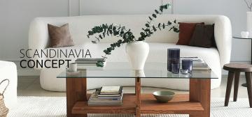 Scandinavia Concept
