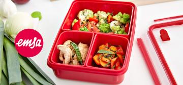 Emsa