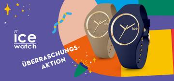 ICE Watch
