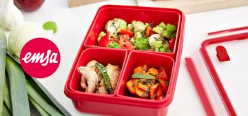 Emsa