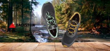 Dachstein